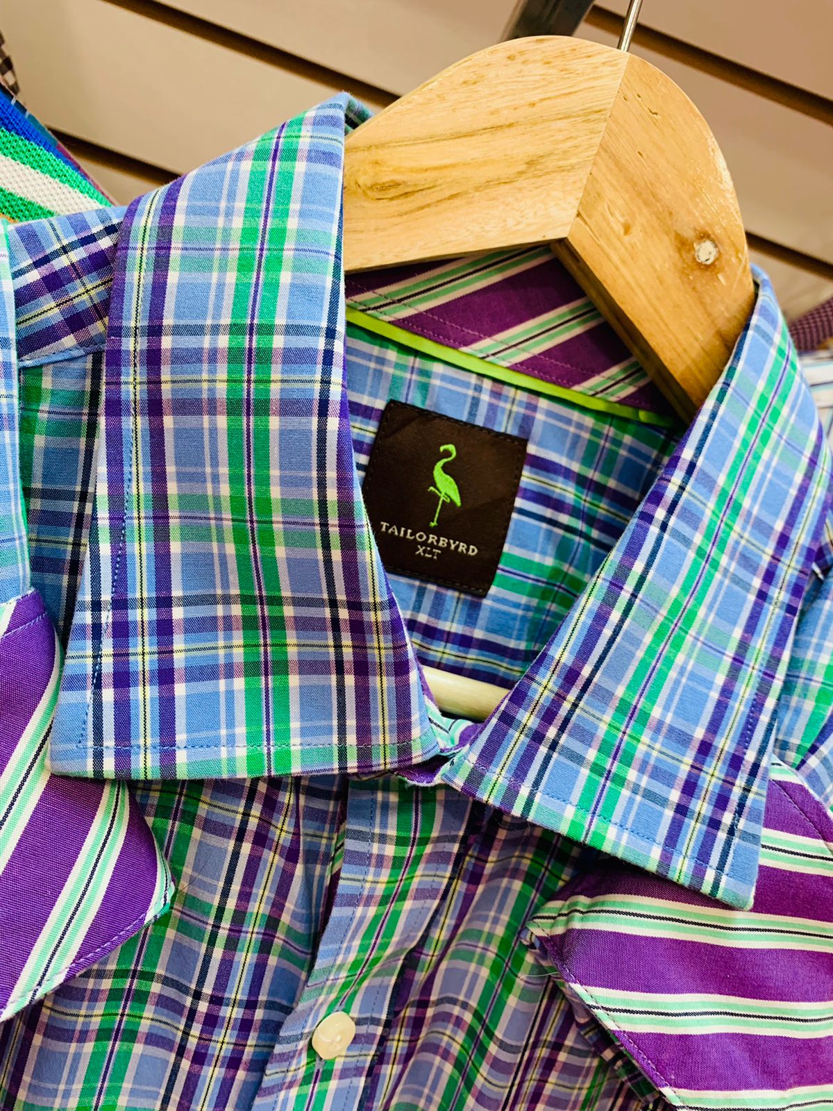 Camisa Tailord byrd