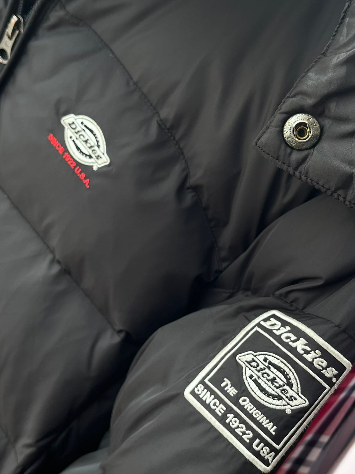 Casaca DICKIES