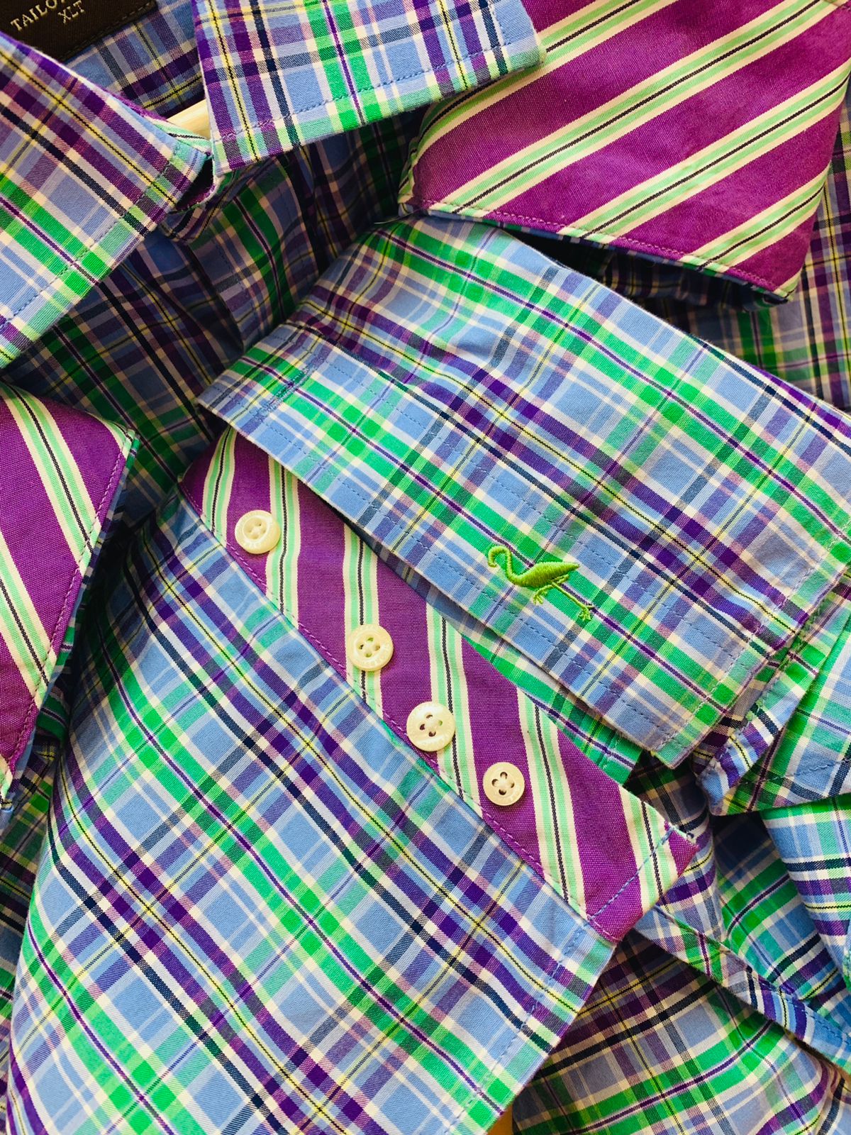 Camisa Tailord byrd
